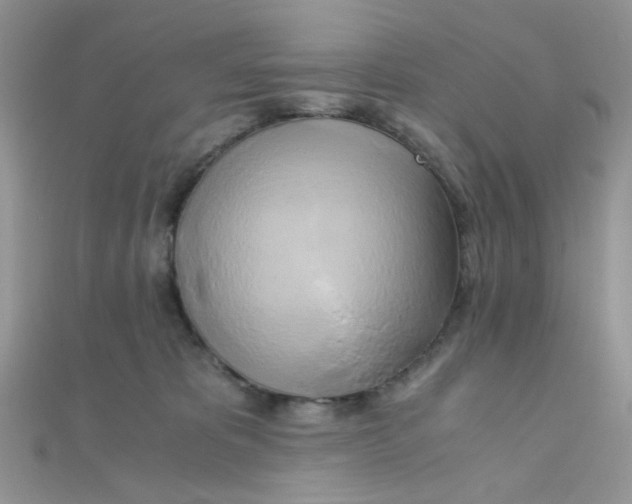 X0000110320325200906042049