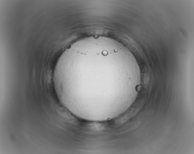 X0000110320326200906042049