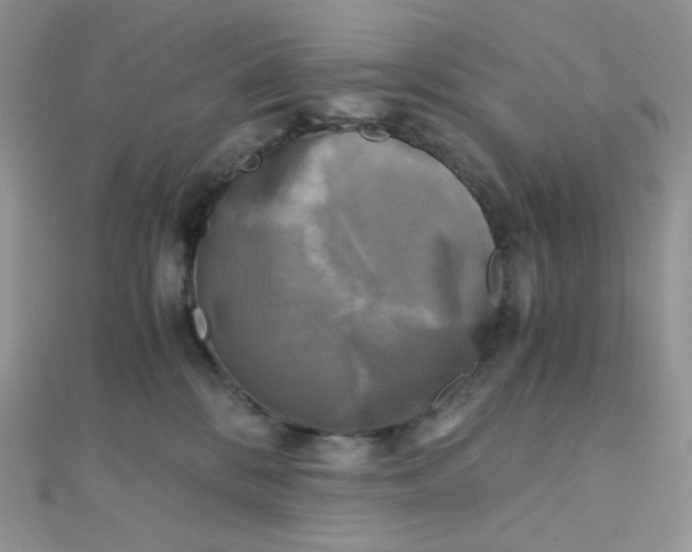 X0000110320328200906042049