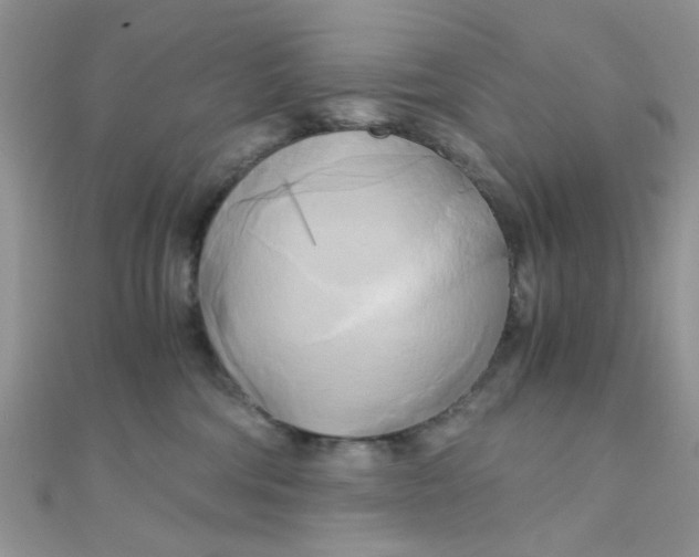 X0000110320330200906042049