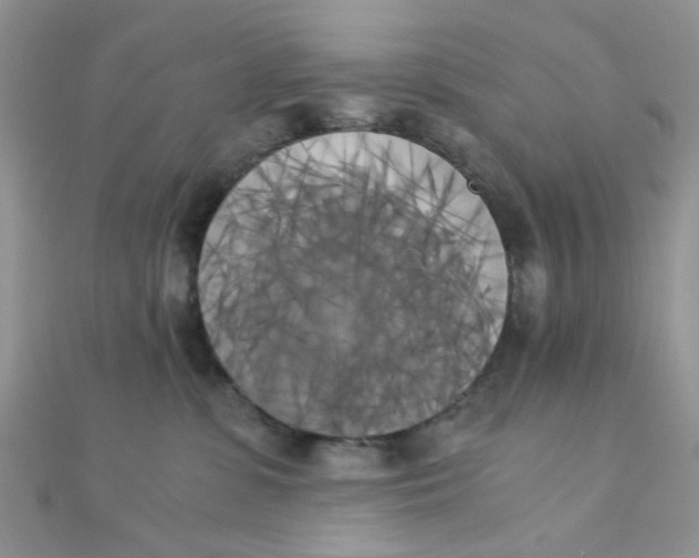 X0000110320331200906042049