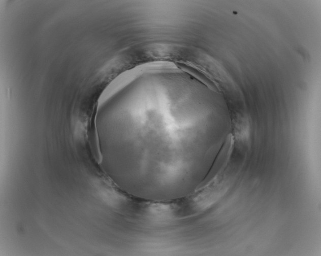 X0000110320332200906042049