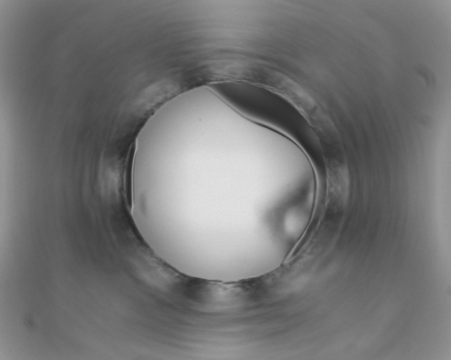 X0000110320333200906042049