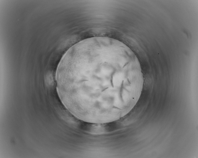 X0000110320335200906042049