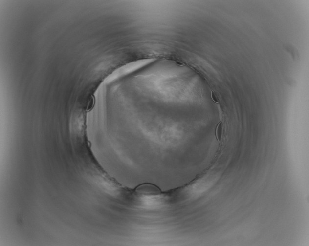 X0000110320336200906042048