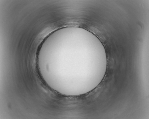 X0000110320338200906042048