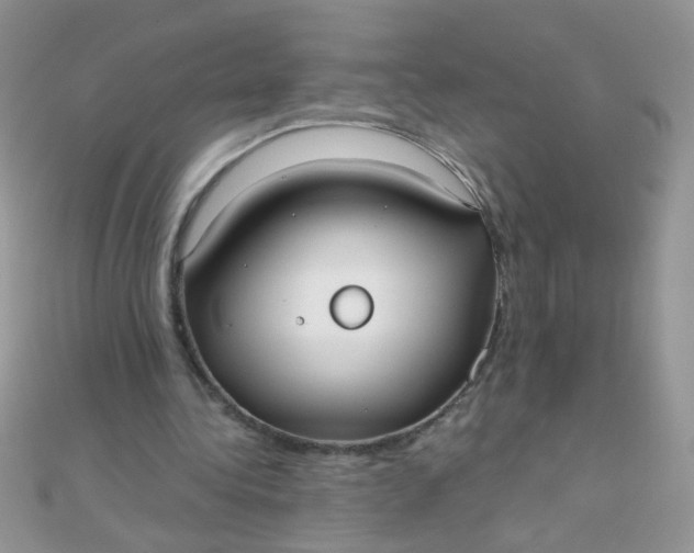 X0000110320340200906042048