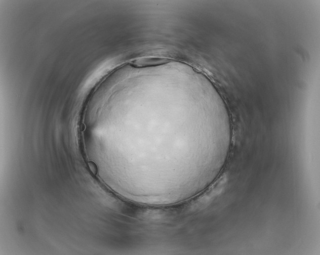 X0000110320341200906042048