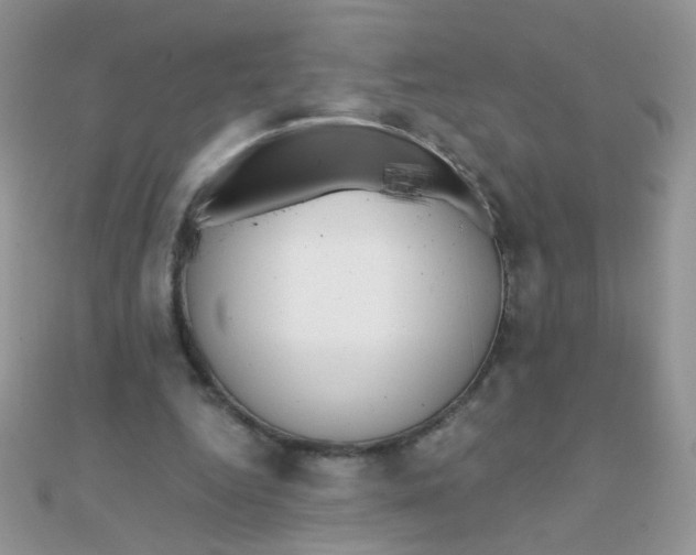 X0000110320344200906042048