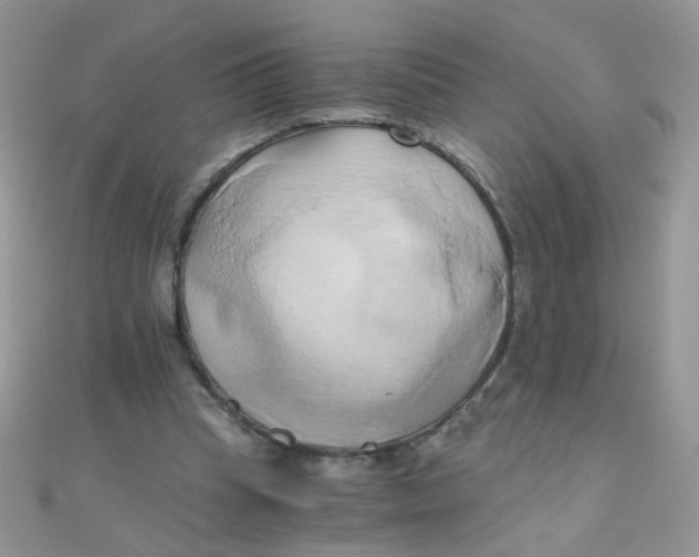 X0000110320345200906042048