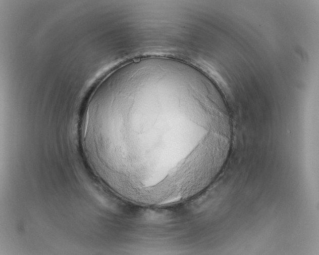 X0000110320346200906042048