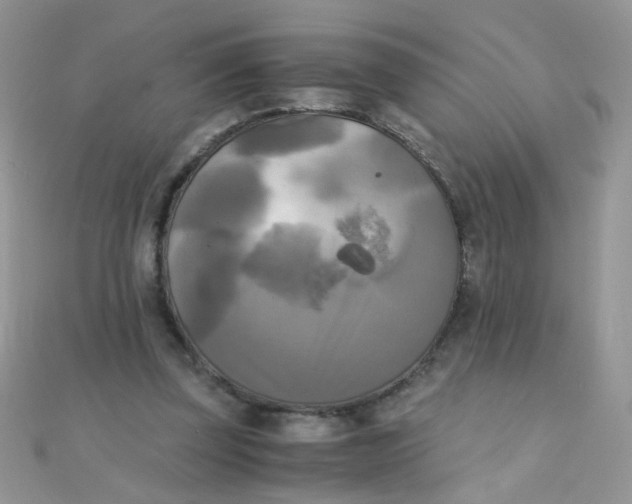 X0000110320347200906042048