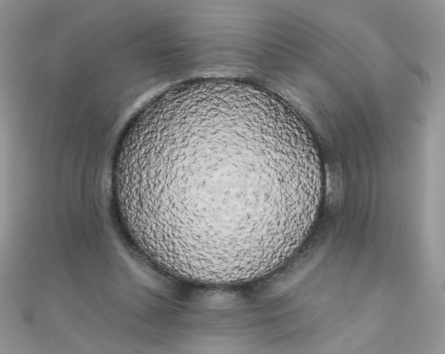 X0000110320348200906042048