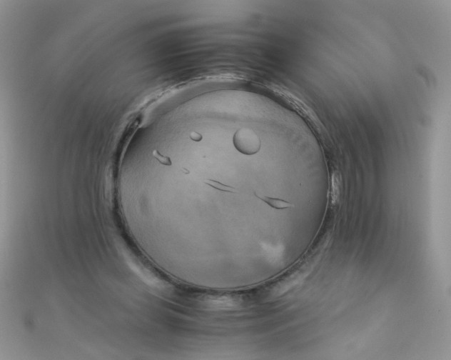 X0000110320349200906042048