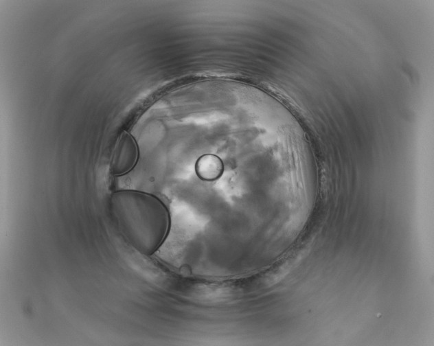 X0000110320351200906042048