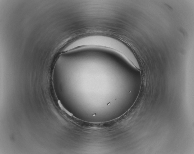 X0000110320352200906042048