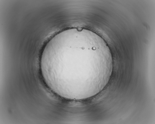 X0000110320354200906042048