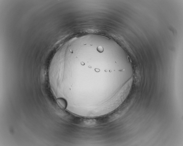 X0000110320355200906042048