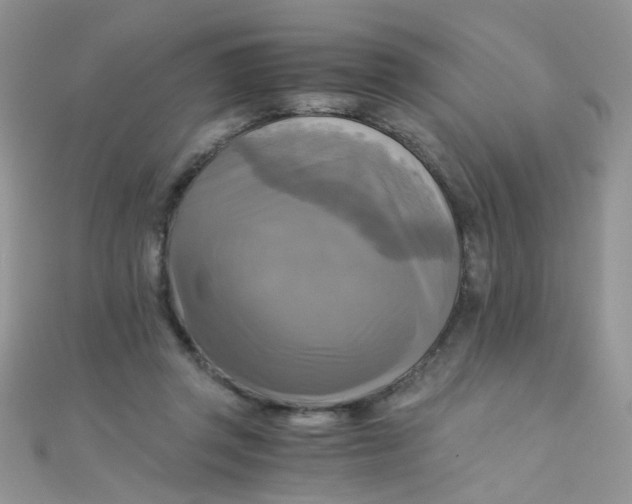 X0000110320357200906042048