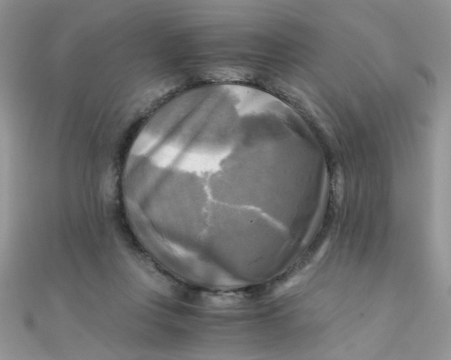 X0000110320359200906042048