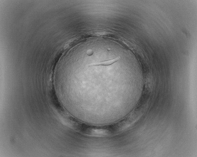 X0000110320360200906042048