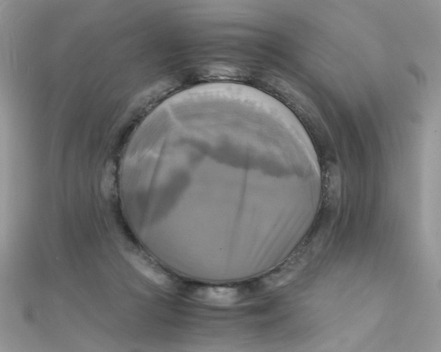 X0000110320361200906042048