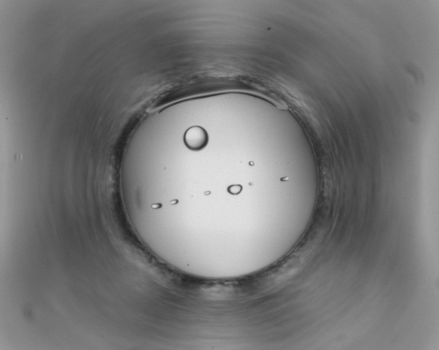 X0000110320362200906042048