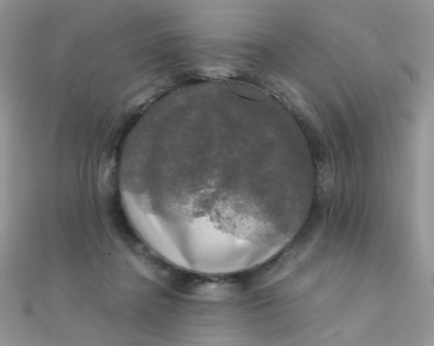 X0000110320364200906042048