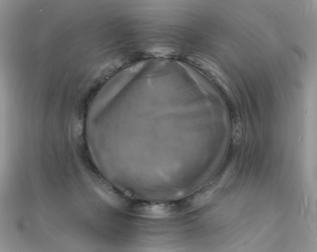 X0000110320365200906042048