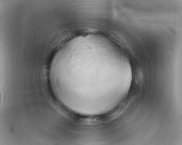 X0000110320366200906042048