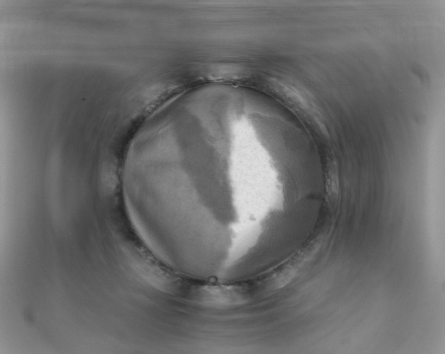 X0000110320367200906042048