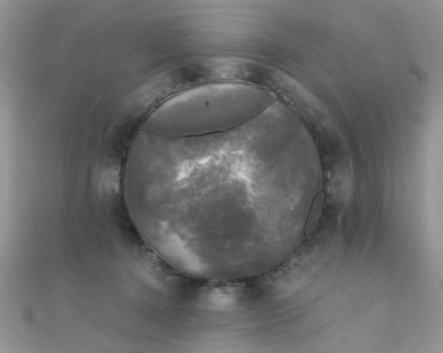 X0000110320368200906042048