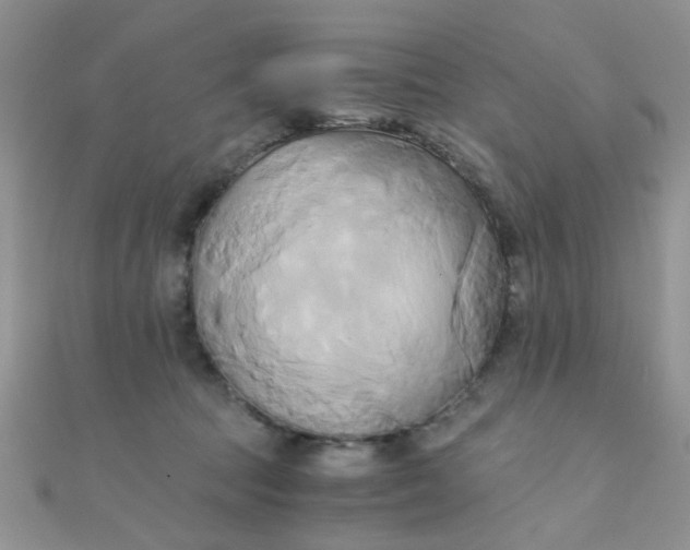 X0000110320369200906042048