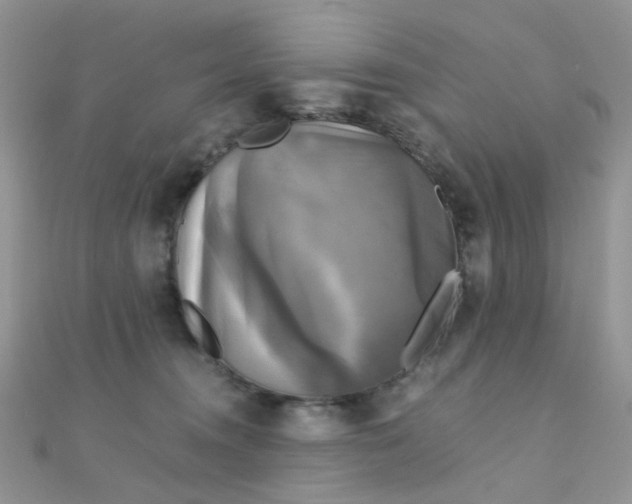 X0000110320372200906042048