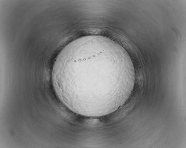 X0000110320374200906042048