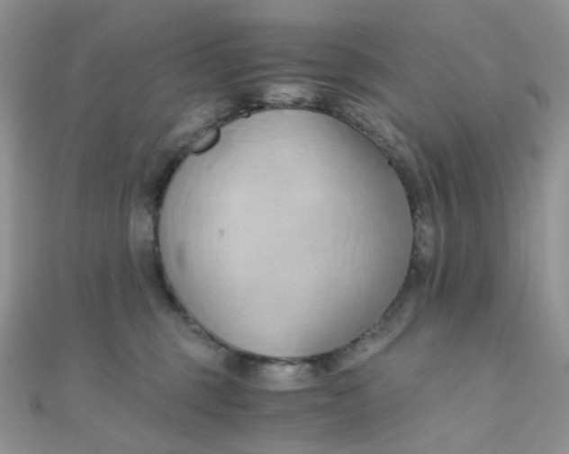 X0000110320375200906042048