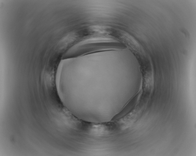 X0000110320376200906042048