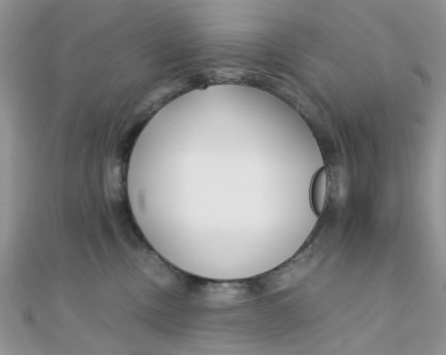 X0000110320378200906042048