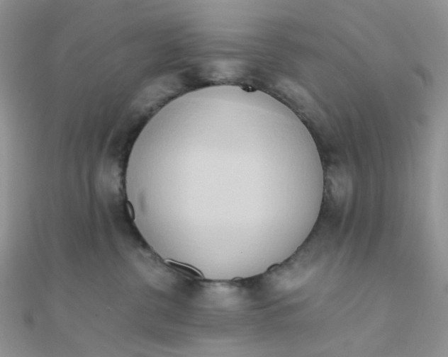 X0000110320380200906042048