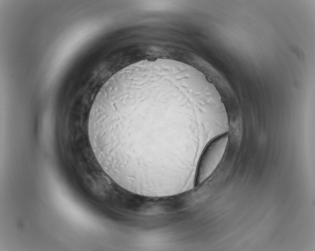 X0000110320381200906042048