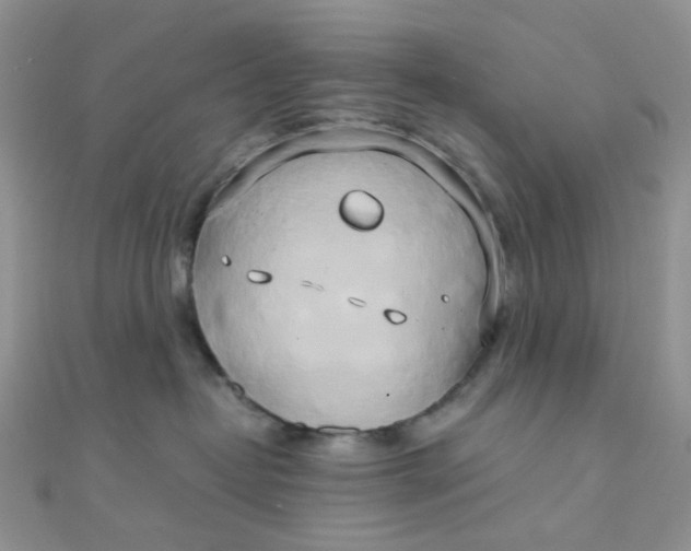 X0000110320382200906042048