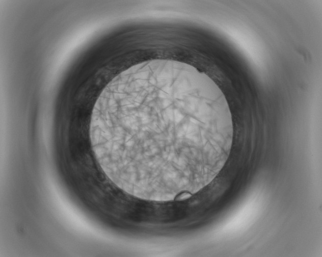 X0000110320383200906042048