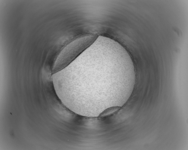 X0000110320384200906042048