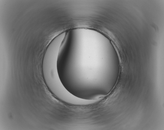 X0000110320385200906042048