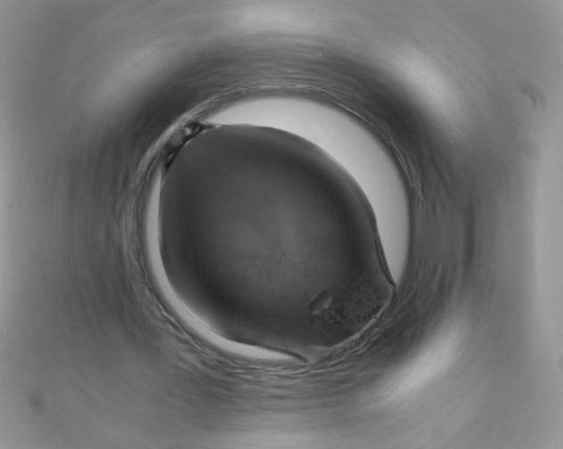 X0000110320387200906042048