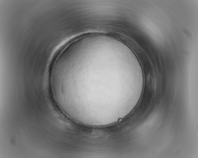 X0000110320388200906042048