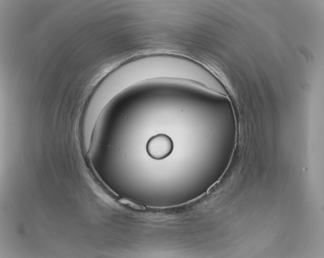 X0000110320389200906042048