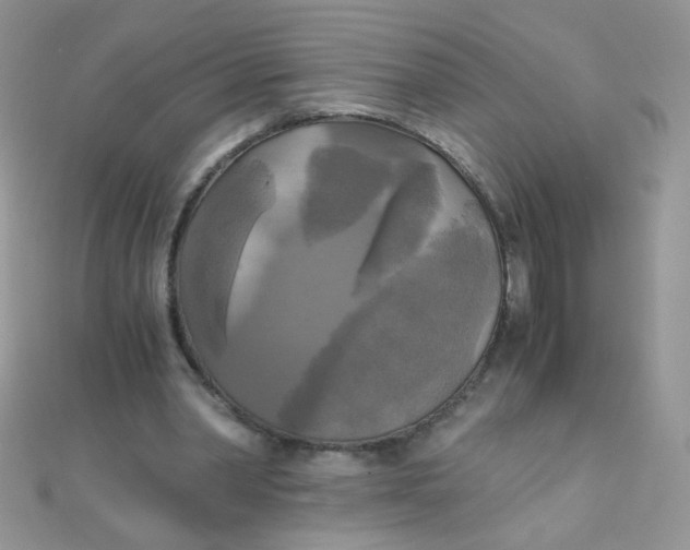 X0000110320390200906042048