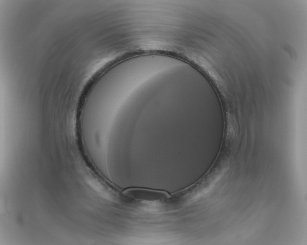 X0000110320391200906042048