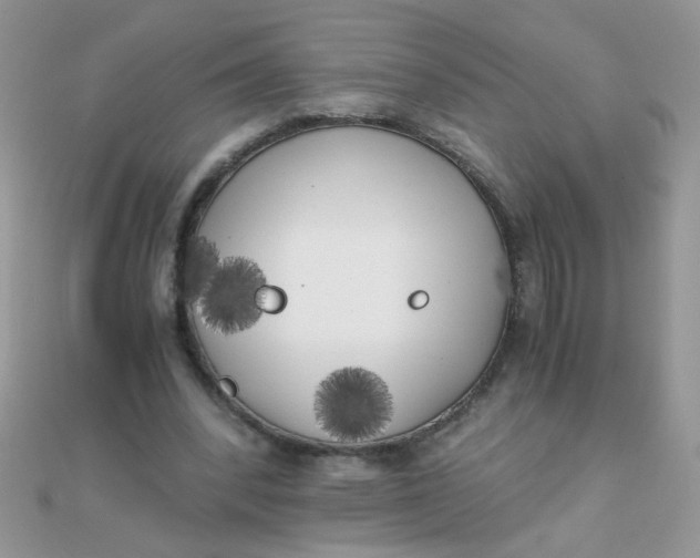 X0000110320392200906042048